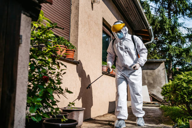 Best Wasp Removal Services  in West Wyomissing, PA