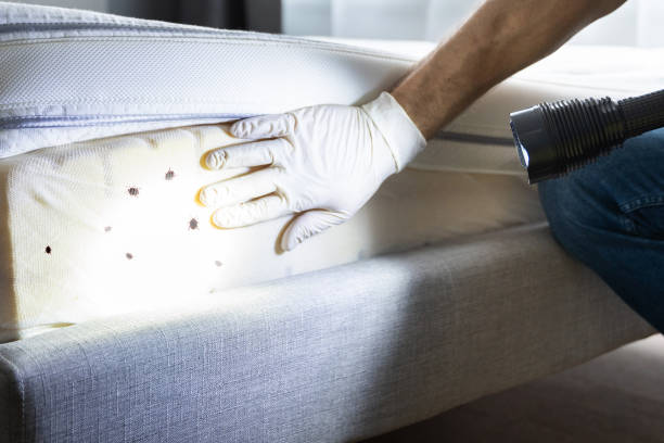 Wildlife Control Services in West Wyomissing, PA