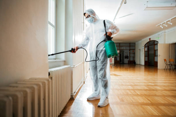 Best Pest Control for Restaurants  in West Wyomissing, PA
